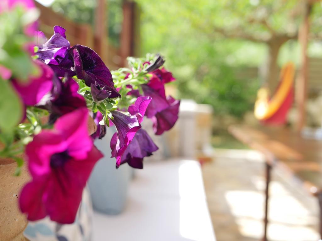 Villa Victoria Boutique Apartments Sívota Екстериор снимка